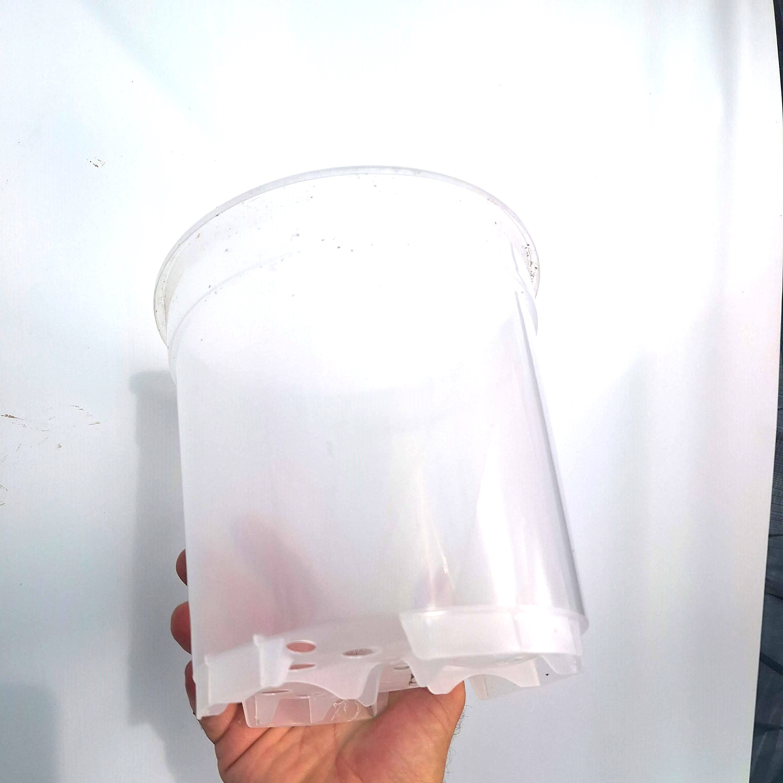 Transparent pot 19 cm - 3x
