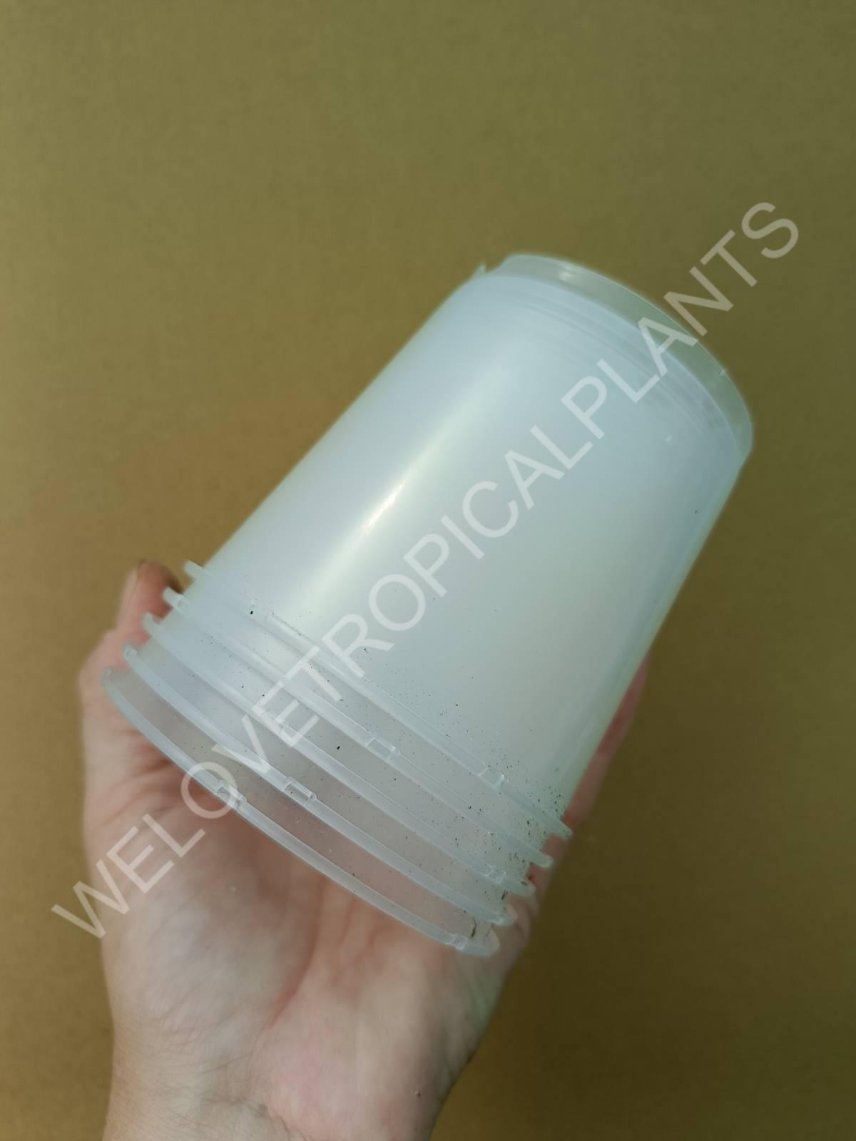 Transparent pot 9 cm