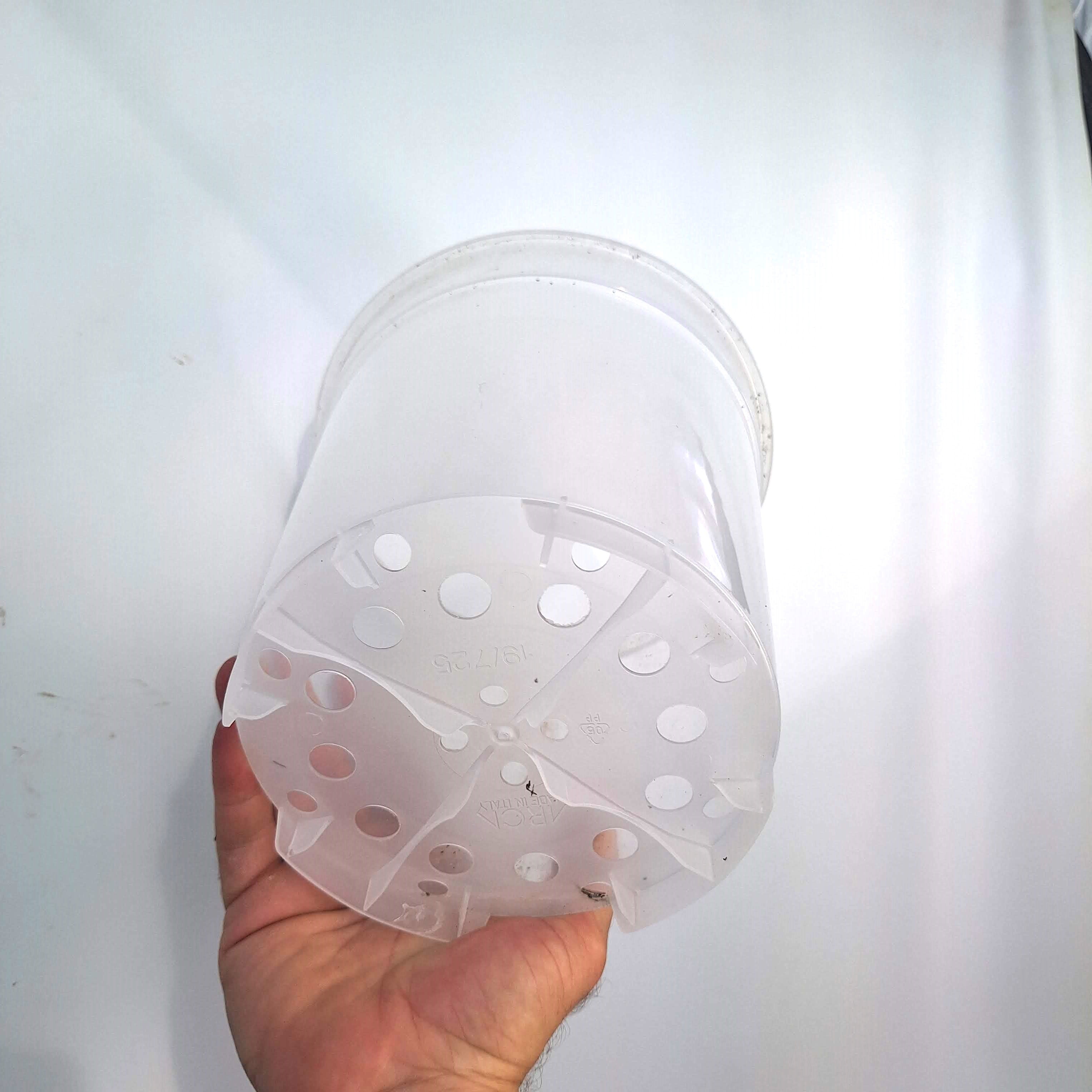 Transparent pot 19  cm - 3x