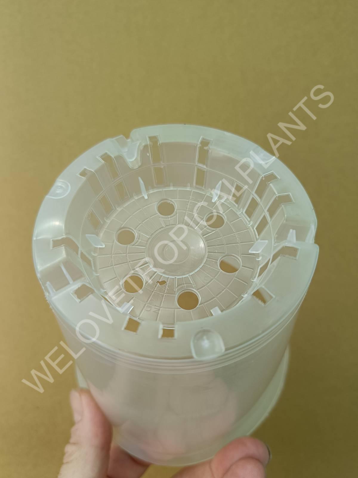 12 cm plastic plant pots Transparent pot 12 cm - 5x