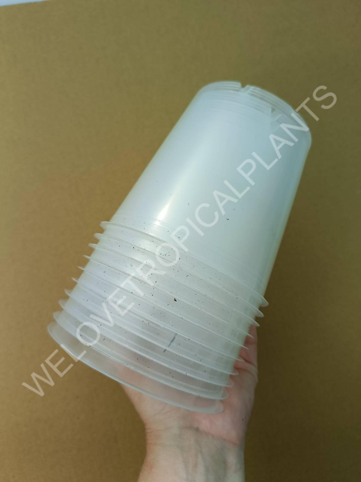 Pot Making Transparent Transparent pot 12 cm - 10x | Welovetropicalplants