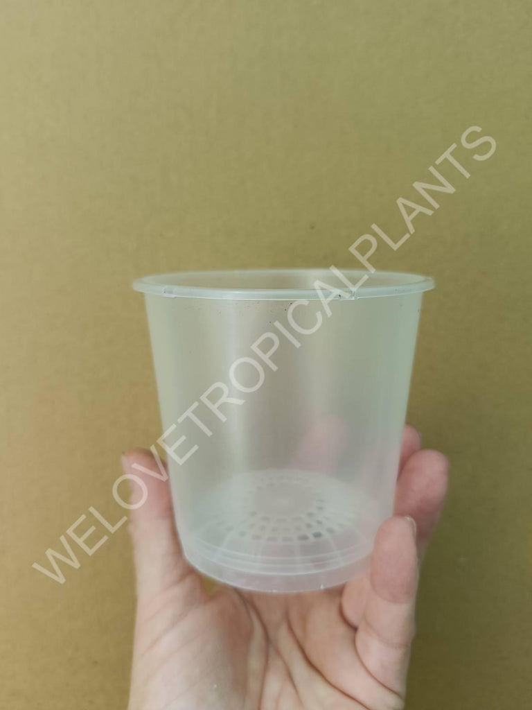 Transparent pot 9 cm