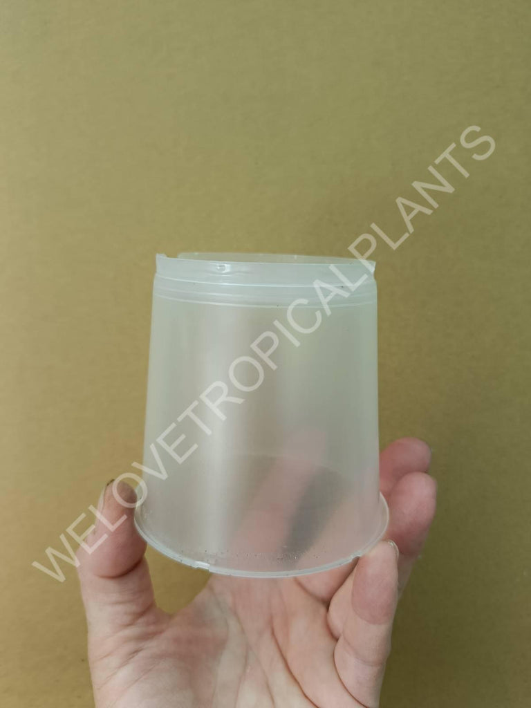 Transparent pot 9 cm